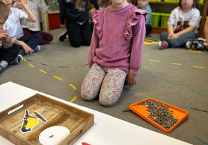 Projekt "Poznajemy ptaki zimą"