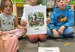 Projekt "Poznajemy ptaki zimą"