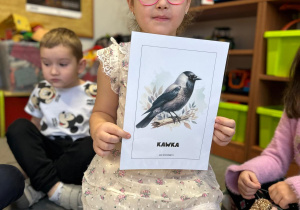 Projekt "Poznajemy ptaki zimą"