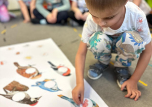 Projekt "Poznajemy ptaki zimą"