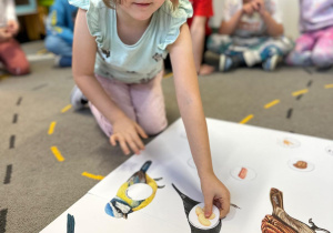 Projekt "Poznajemy ptaki zimą"