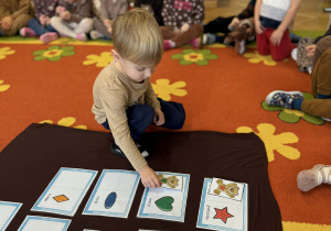 Święto dziś ma Pluszowy Miś