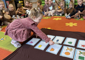 Święto dziś ma Pluszowy Miś