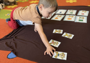 Święto dziś ma Pluszowy Miś