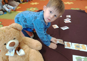 Święto dziś ma Pluszowy Miś