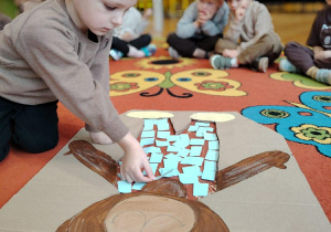 Święto dziś ma Pluszowy Miś