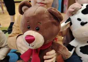 Święto dziś ma Pluszowy Miś