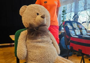 Pierwsza Pomoc w Małym Świecie