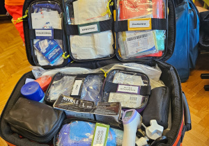 Pierwsza Pomoc w Małym Świecie