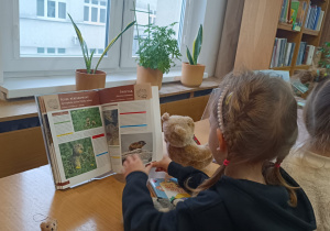 Dzień Pluszowego Misia i misiowa przygoda w bibliotece - gr. XII