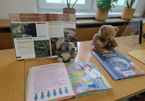 Dzień Pluszowego Misia i misiowa przygoda w bibliotece - gr. XII