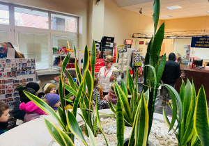 Przedszkolaki listy piszą…do Mikołaja- czyli świąteczna wycieczka na pocztę w ramach preorientacji zawodowej w gr. XI i XII