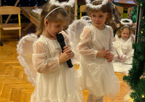 „Choinka w Aniołkowie”- spotkanie świąteczne w grupie II