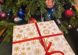 Podsumowanie akcji "Kartka dla seniora"