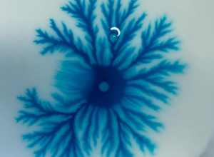 „Zimowe Laboratorium” – Eksperymenty z Kids Lab w grupie IV