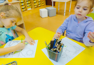 O gadzim świecie, czyli słów kilka o... żółwiach w gr. XI i XII