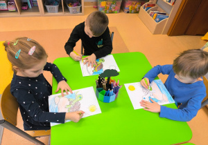 O gadzim świecie, czyli słów kilka o... żółwiach w gr. XI i XII