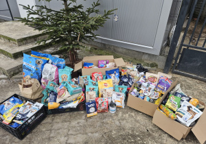 Schroniska dla Bezdomnych Zwierząt w Koninie „Bezdomniś”