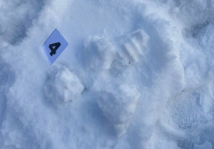 "Matematyczne pory roku"- innowacja gr. VI