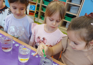 Program "Działaj z ImPETem"