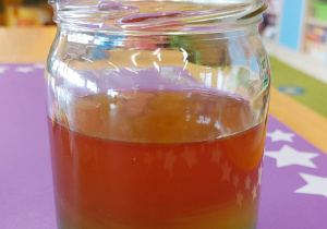 Program "Działaj z ImPETem"