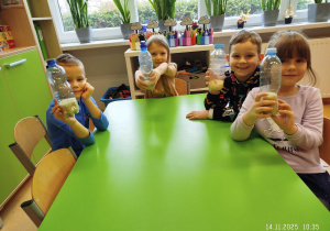 Program "Działaj z ImPETem"