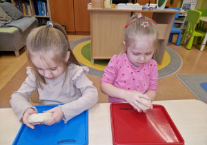 Dzisiaj pączki i pączusie, wypinają swoje brzusie … Tłusty Czwartek w grupie X