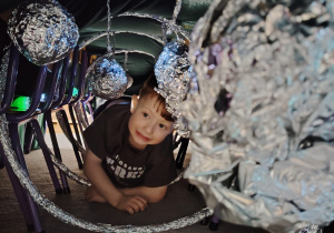 Projekt edukacyjny "Kosmos"