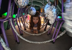 Projekt edukacyjny "Kosmos"