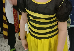 „Magiczny Bal Karnawałowo – Walentynkowy w Grupie IV”