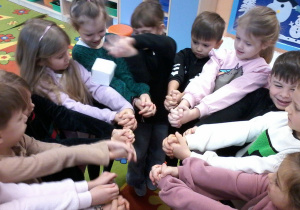 „Zimowa innowacja pedagogiczna” – grupa V