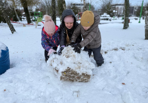 „Zima pełna magii” – projekt edukacyjny w gr. IV