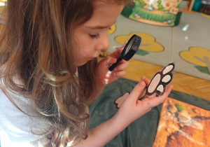 "Tajemnice prehistorycznego świata dinozaurów"-czyli projekt edukacyjny w grupie II