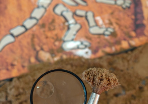 "Tajemnice prehistorycznego świata dinozaurów"-czyli projekt edukacyjny w grupie II