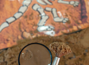 "Tajemnice prehistorycznego świata dinozaurów"-czyli projekt edukacyjny w grupie II