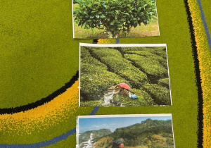 "Herbaciana niespodzianka"- Dzień Kobiet w gr. VI