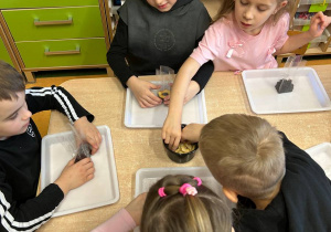 "Herbaciana niespodzianka"- Dzień Kobiet w gr. VI