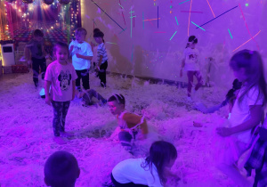 ,,Dzień Kobiet w sali animacyjnej BaJa” – grupa V