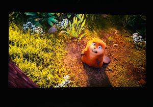 Świętujemy Dzień Kobiet w gr. XI i XII