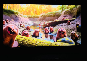 Świętujemy Dzień Kobiet w gr. XI i XII