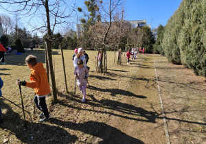 „Kijki w małych rączkach” – Nordic Walking dla przedszkolaków – gr. IV