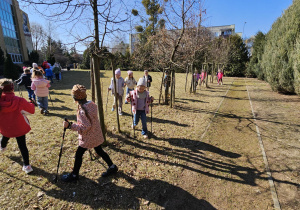 „Kijki w małych rączkach” – Nordic Walking dla przedszkolaków – gr. IV