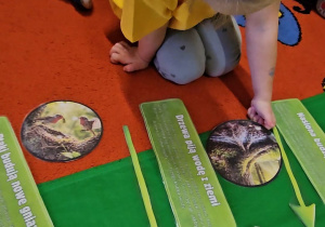 Radosne powitanie wiosny w grupie VII