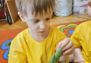 Radosne powitanie wiosny w grupie VII