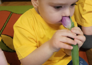 Radosne powitanie wiosny w grupie VII