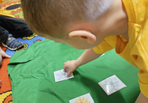 Radosne powitanie wiosny w grupie VII