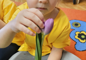 Radosne powitanie wiosny w grupie VII