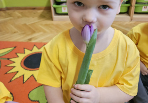 Radosne powitanie wiosny w grupie VII