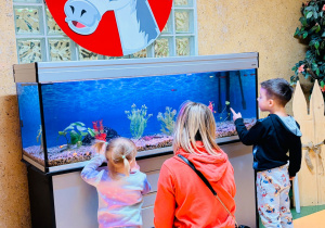 Dzień otwarty w Białym koniku