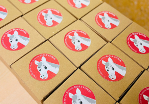 Dzień otwarty w Białym koniku